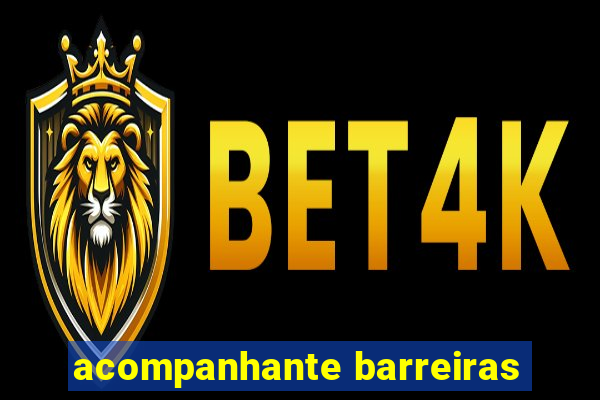 acompanhante barreiras